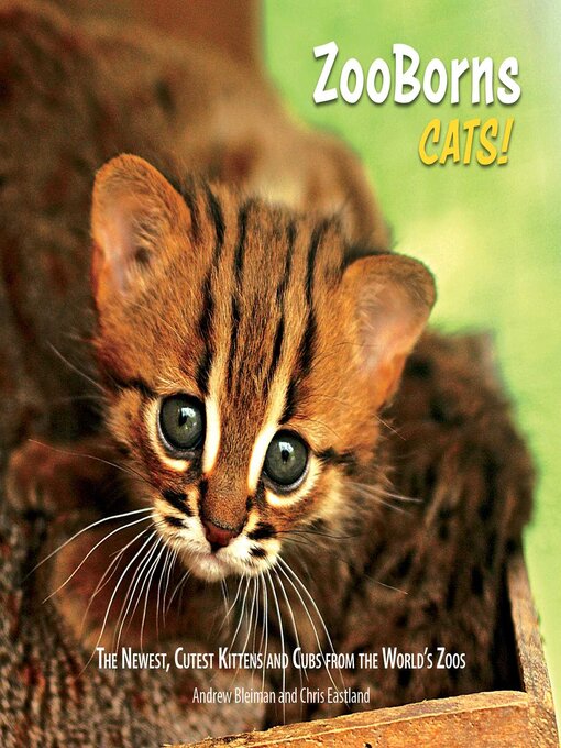 Title details for ZooBorns Cats! by Andrew Bleiman - Wait list